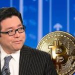 Fundstrat’s Tom Lee Makes His Case For HODL-ing On To Bitcoin